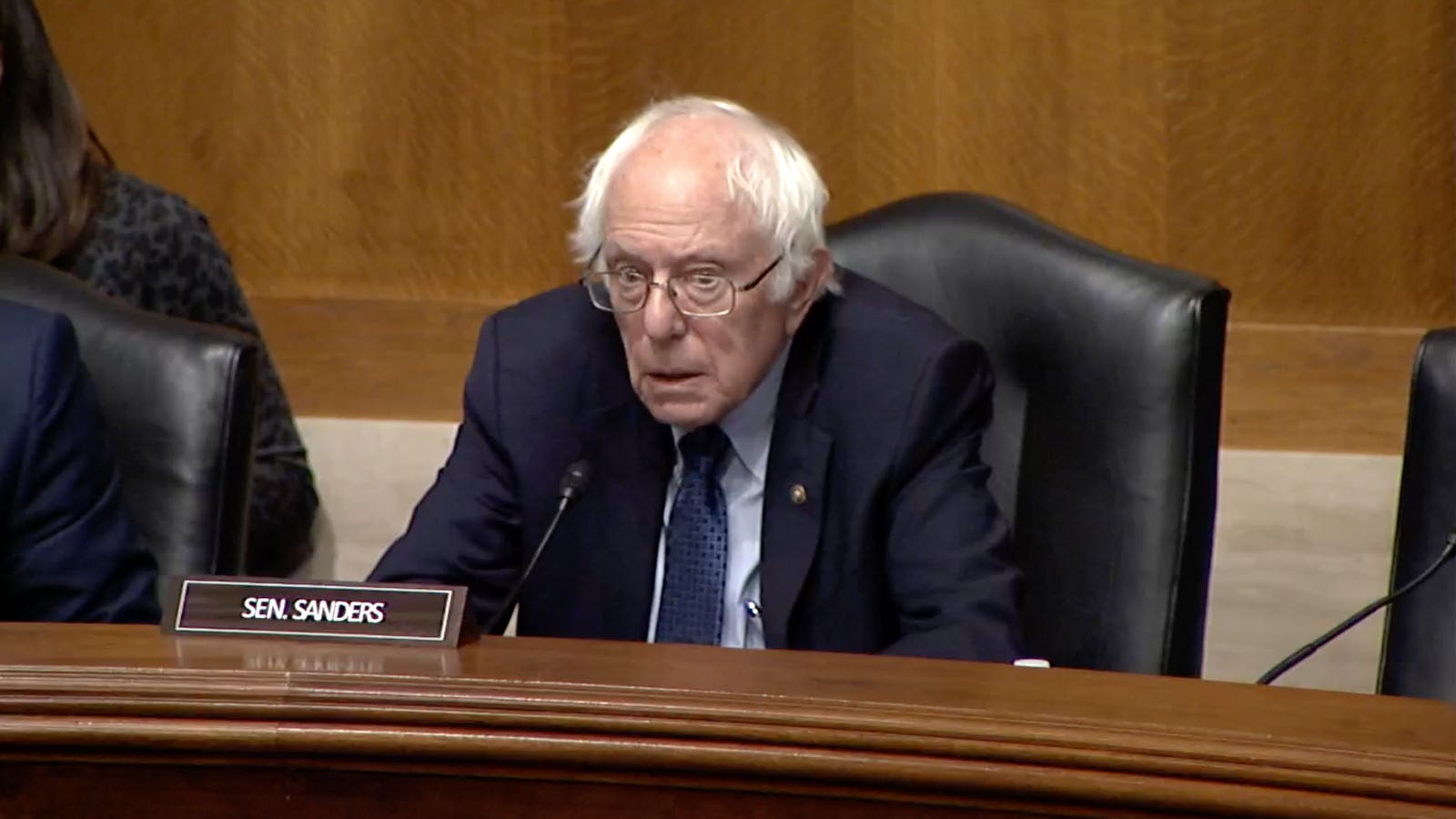 A screenshot of Senator Bernie Sanders speaking during his hearing.