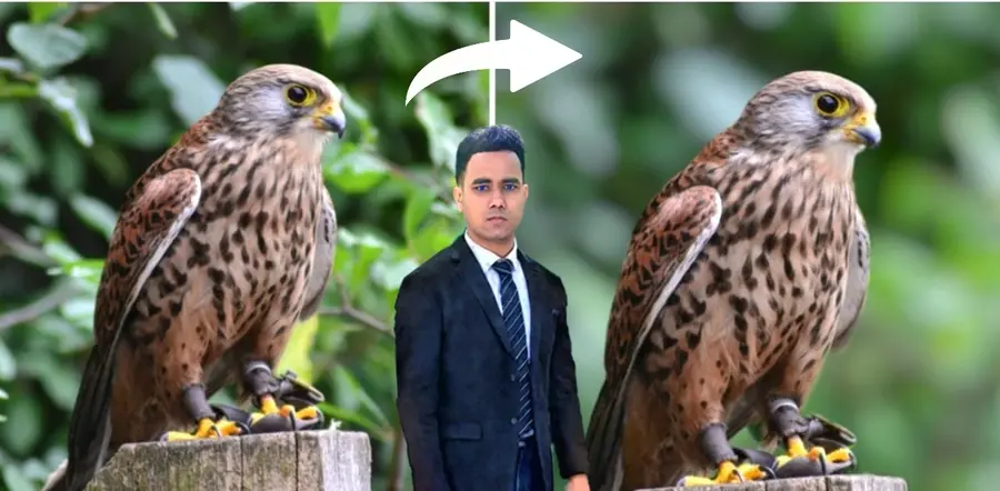 Auto Ai Photo Professional Editing Free
